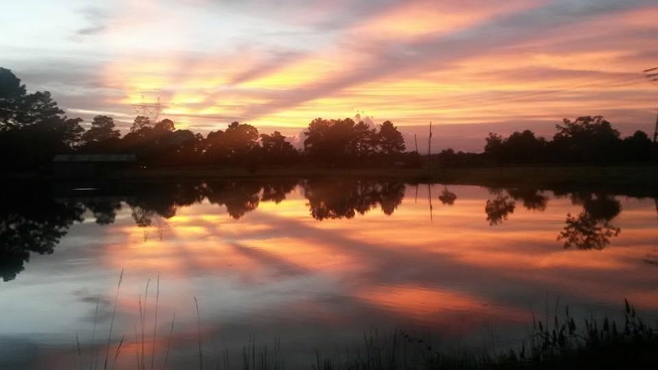 Rest Hill RV Park photo 4