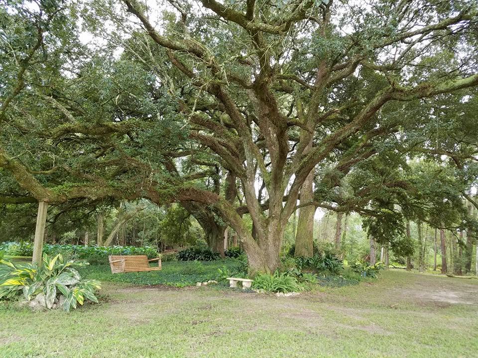 Rest Hill RV Park photo 5